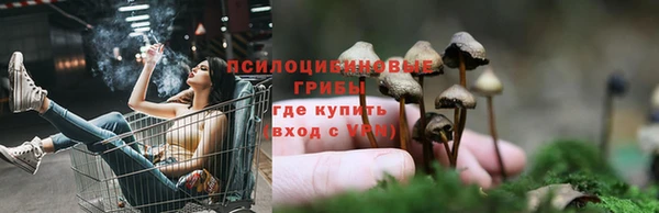 индика Красноперекопск