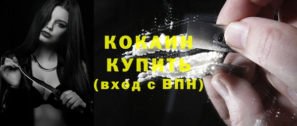 дживик Краснослободск
