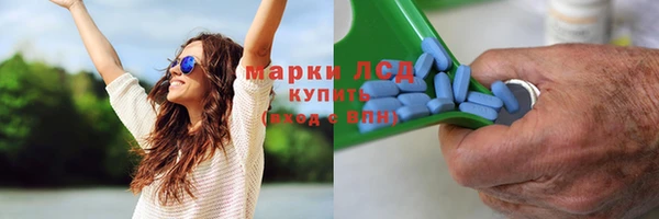 СК Коряжма
