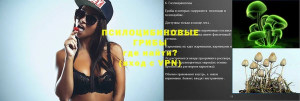 дживик Краснослободск