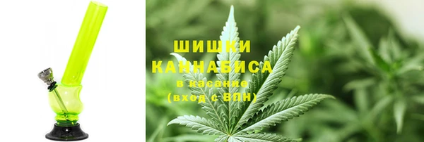 дживик Краснослободск