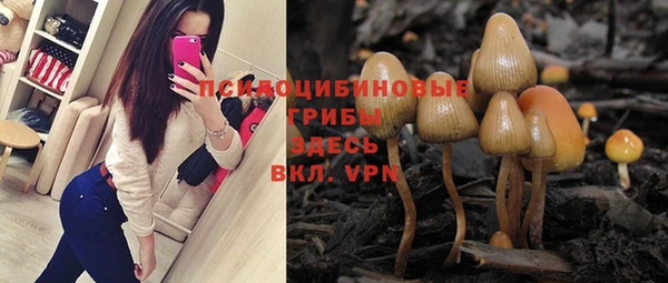 apvp Краснотурьинск