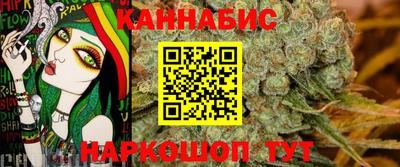 гашик Кандалакша