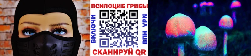 Галлюциногенные грибы Cubensis  kraken tor  Петрозаводск 